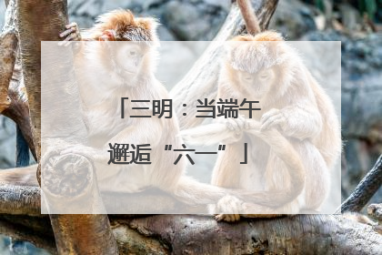 三明：当端午邂逅“六一”